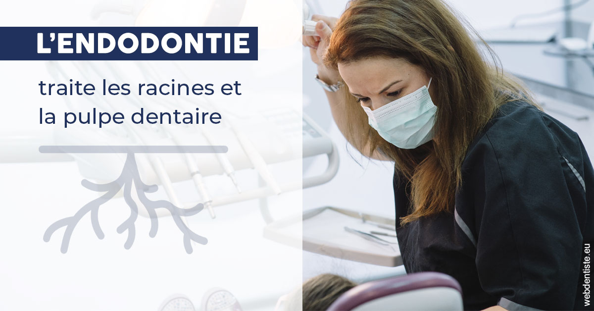https://cabinetdentairelumiere.fr/L'endodontie 1