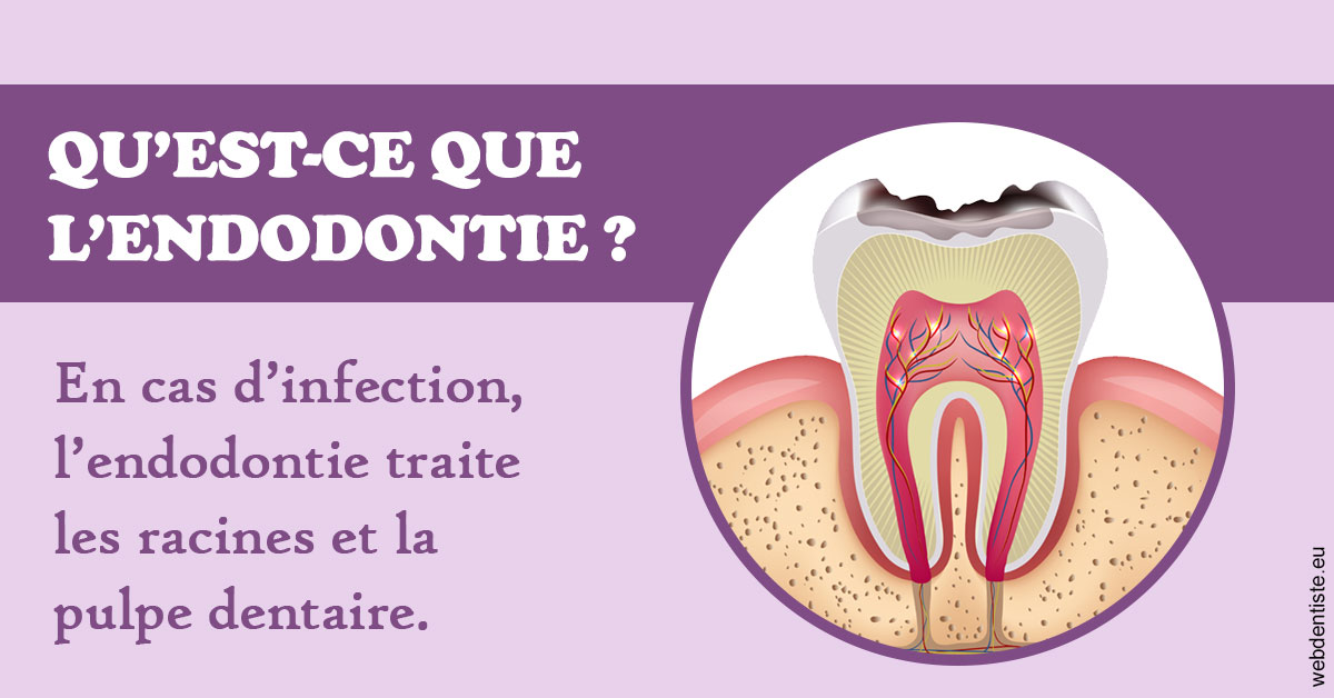 https://cabinetdentairelumiere.fr/2024 T1 - Endodontie 02