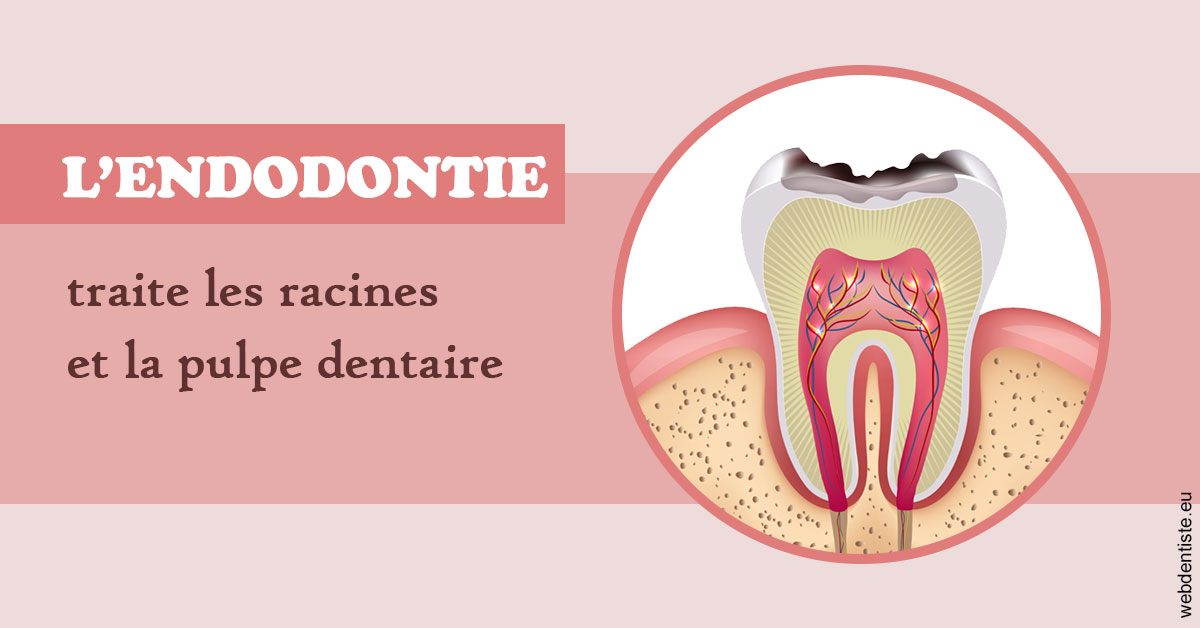 https://cabinetdentairelumiere.fr/L'endodontie 2