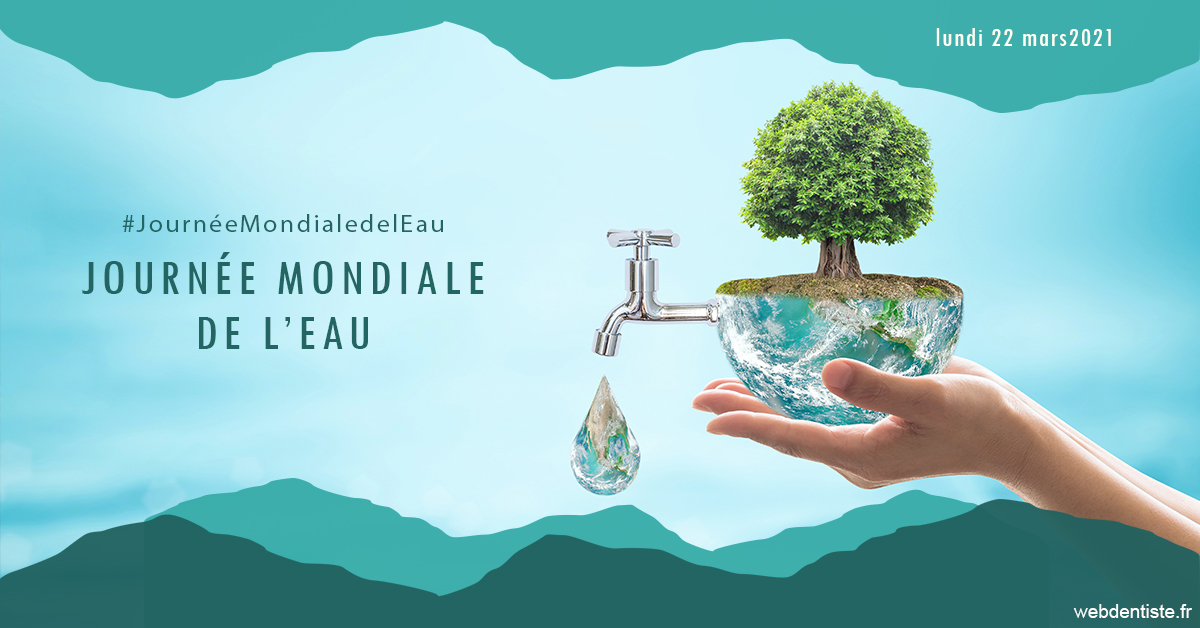 https://cabinetdentairelumiere.fr/Journée de l'eau 1