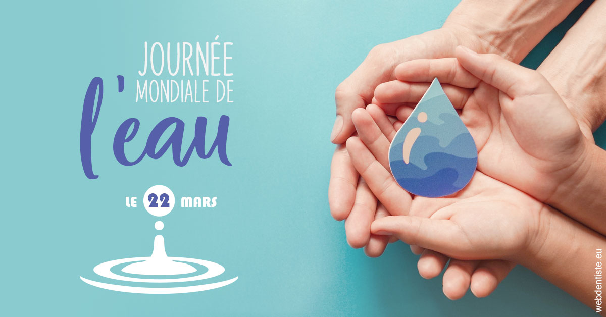 https://cabinetdentairelumiere.fr/La journée de l'eau 1
