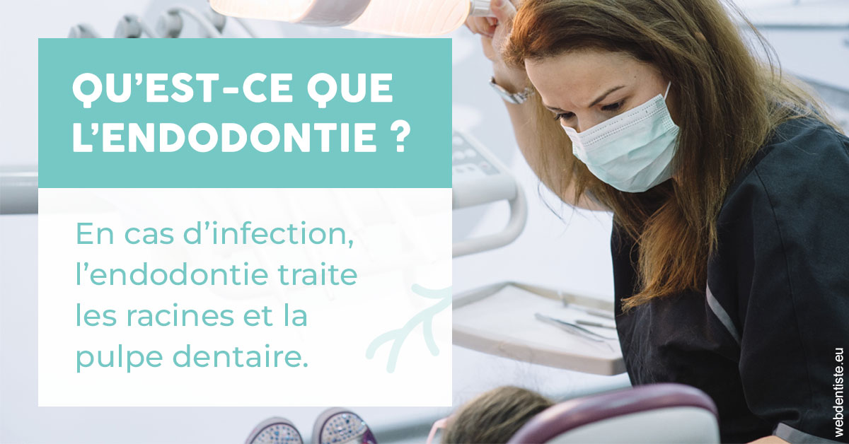 https://cabinetdentairelumiere.fr/2024 T1 - Endodontie 01