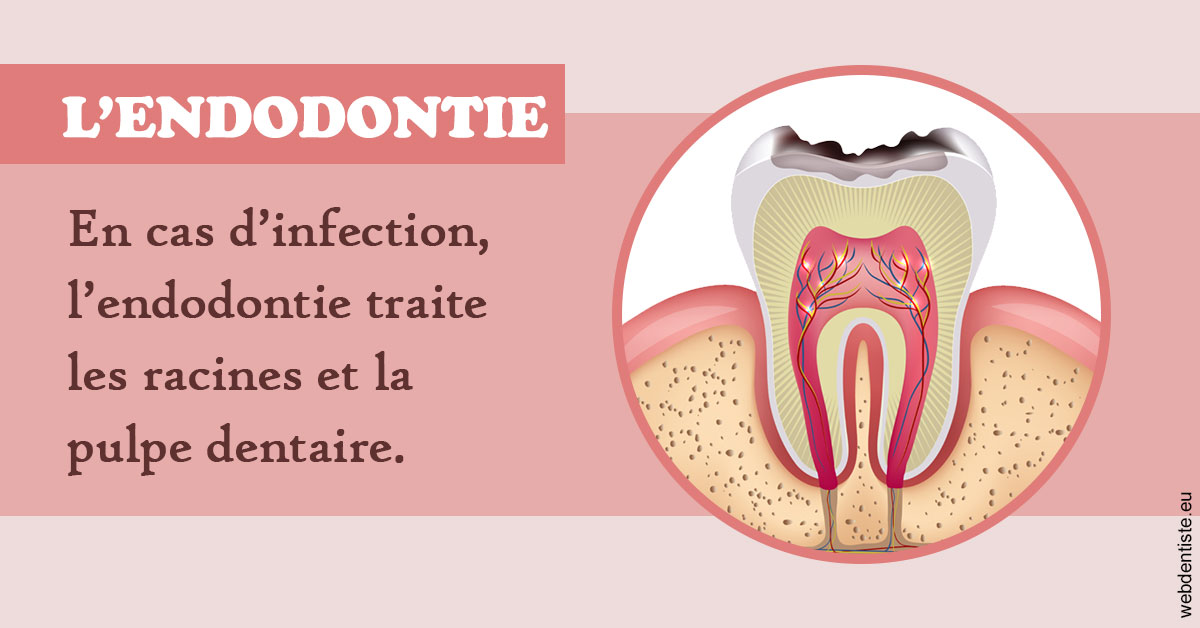 https://cabinetdentairelumiere.fr/L'endodontie 2